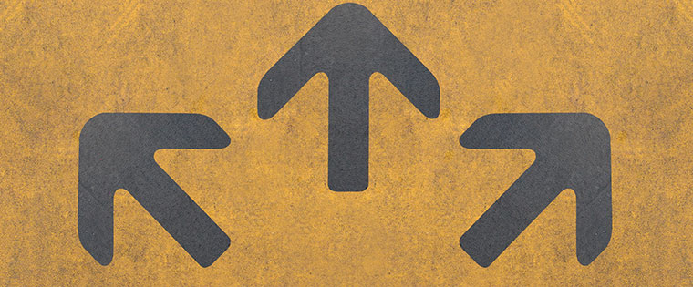 How to choose a Transportation Management Software for your company